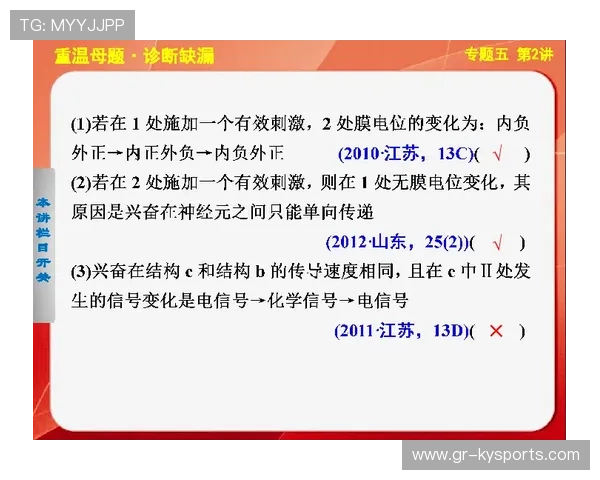琑员如何通过专项训练提升终结的多样化方法，提高终结能力